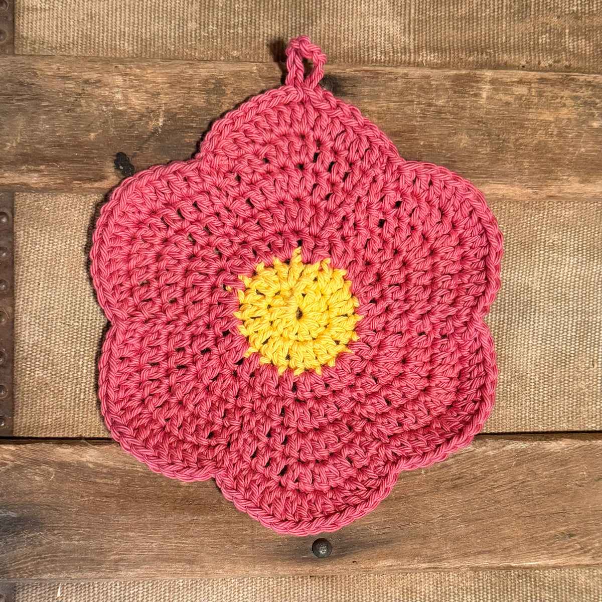 Summer Zinnia