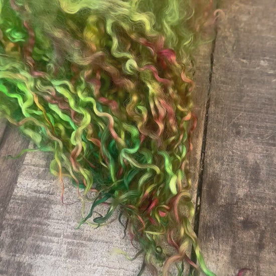 hand dyed teeswater locks
