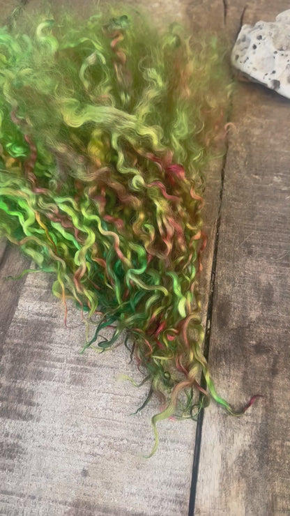 hand dyed teeswater locks
